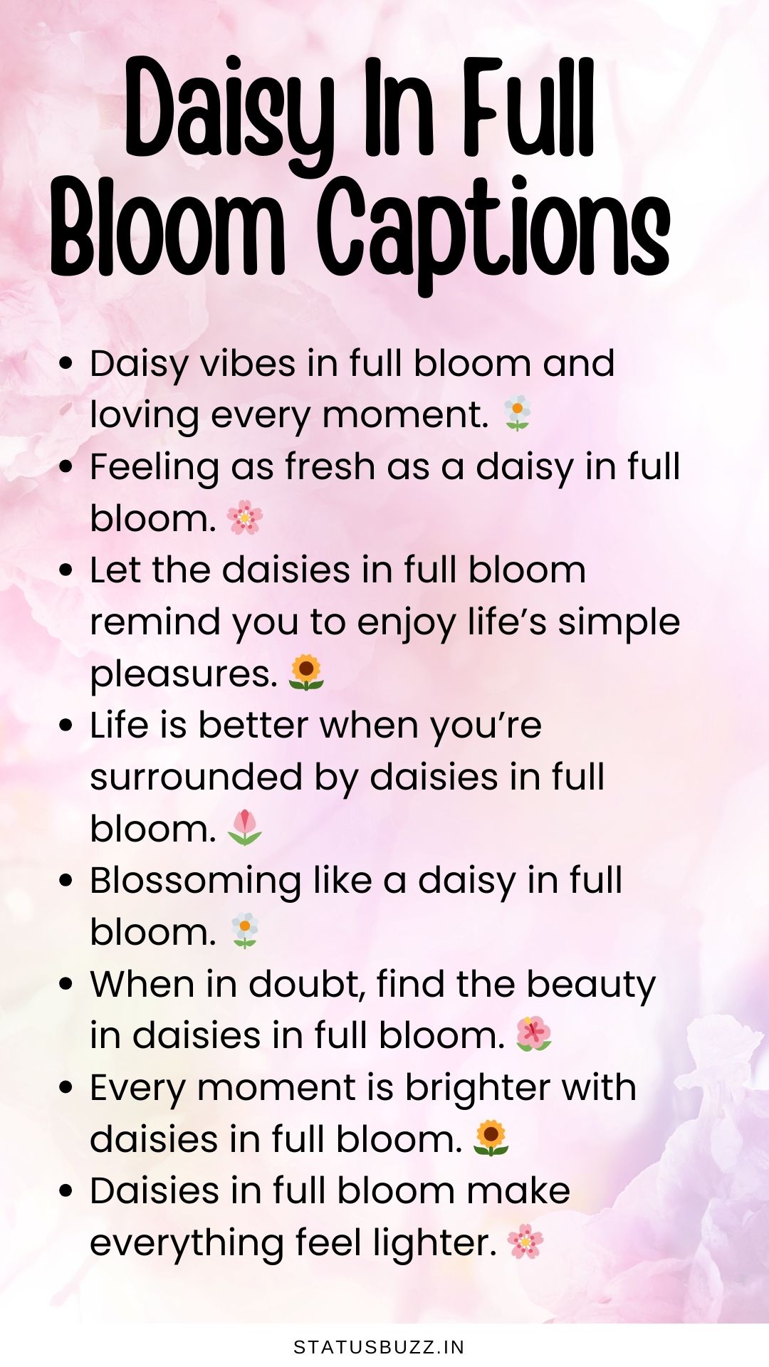120+ Daisy Captions & Quotes For Instagram StatusBuzz