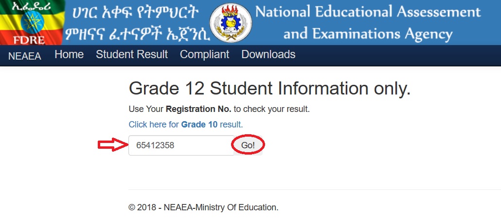 Check Grade 10 G10 Entrance Exam Result Online Ethiopia Ministry of