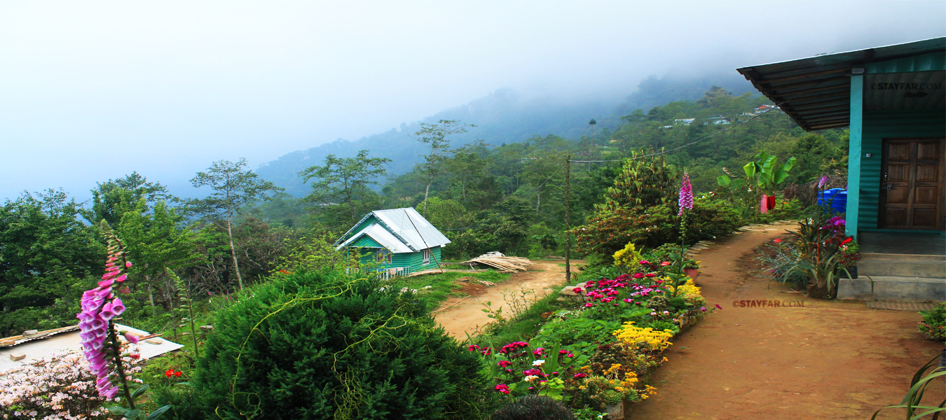 Rishyap Homestay Hotels in