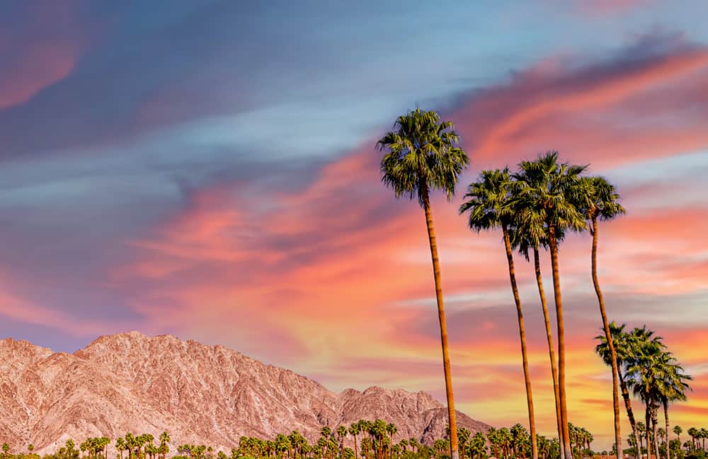 Experience an Sightseeing Journey to Palm Desert Book