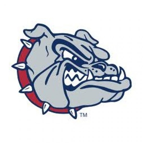 Holly Grove Middle School A St. Baldrick's Event