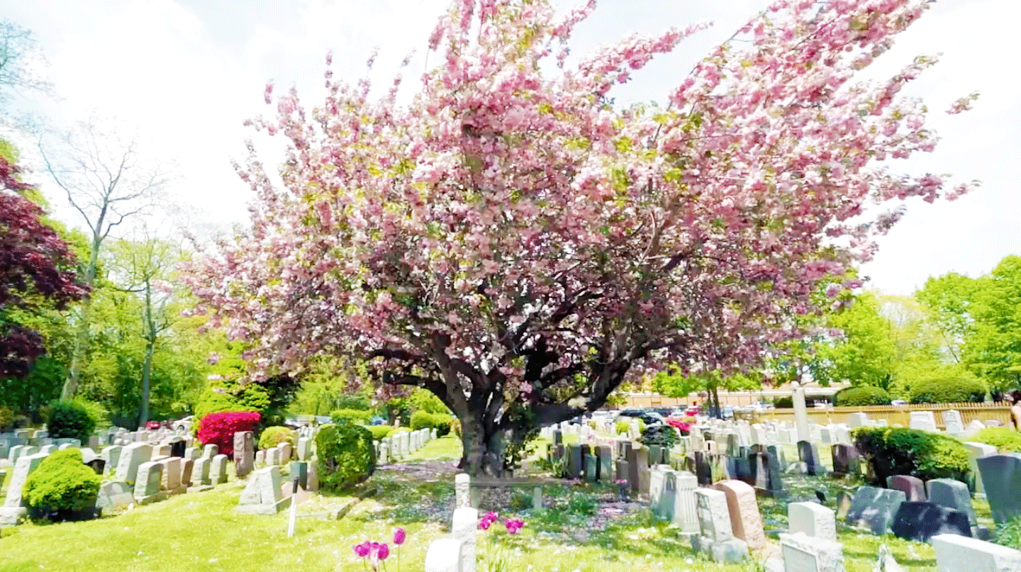 Bideawee Pet Cemetery Cemeteries We Serve St. Charles Monuments