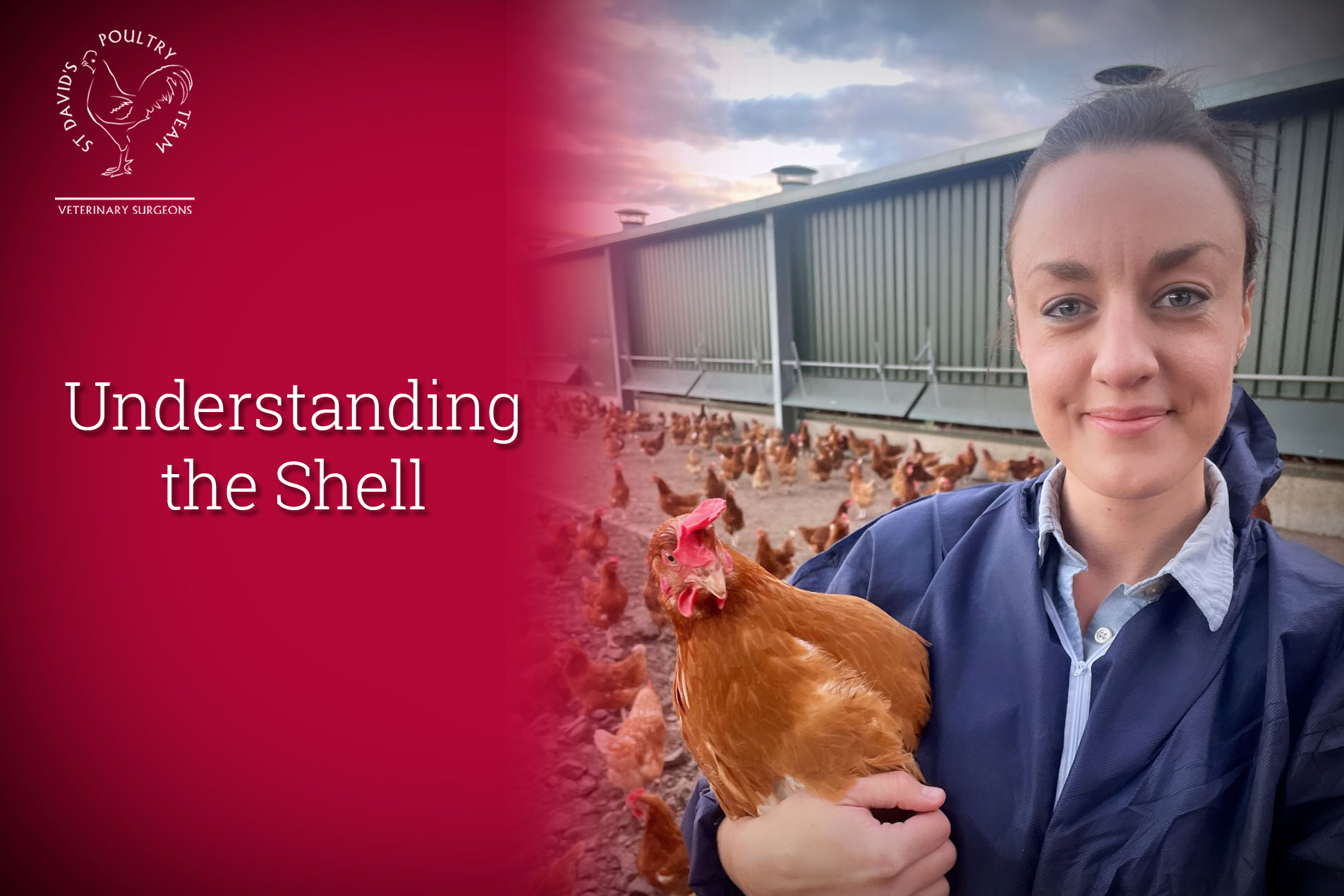 Understanding the Shell St Davids Poultry Team