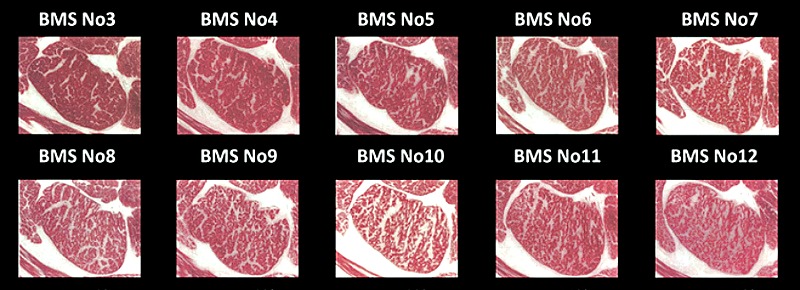 Wagyu Beef Grading and Marble Scores Guide | Steaks and Game
