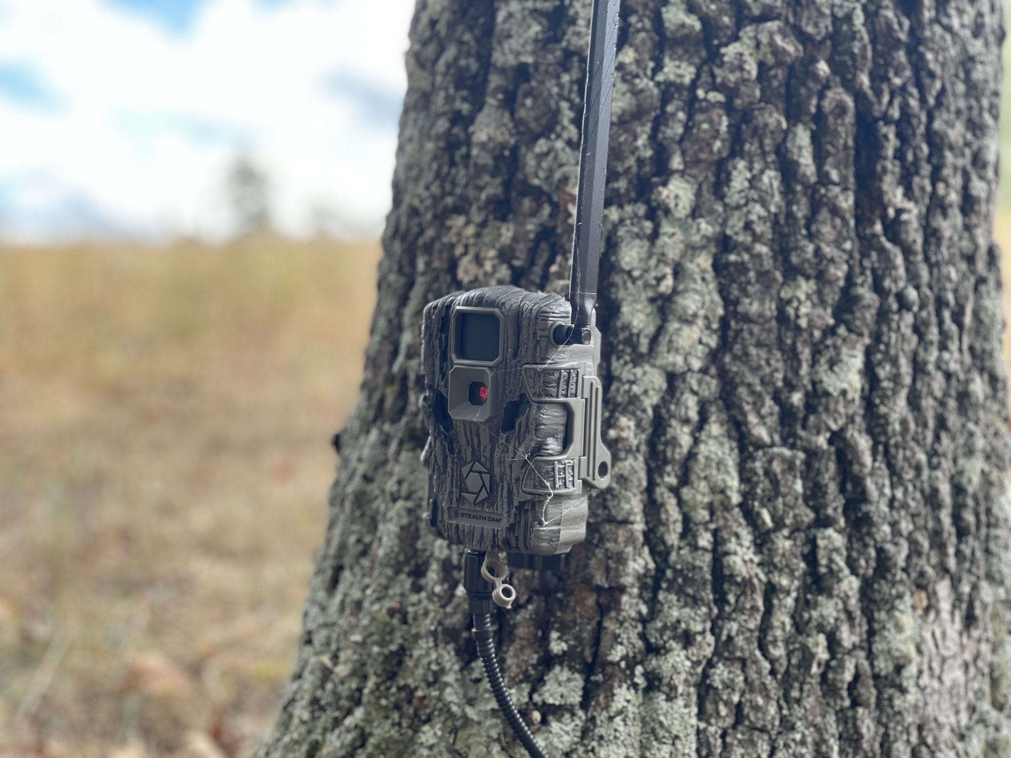 Advantages Of Cellular Game Cameras For Predator Hunters Stealth Cam