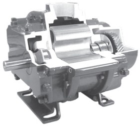 Tuthill 4005-21L2 Competitor blower Left Shaft 4005-A6L2CV1-A [4005