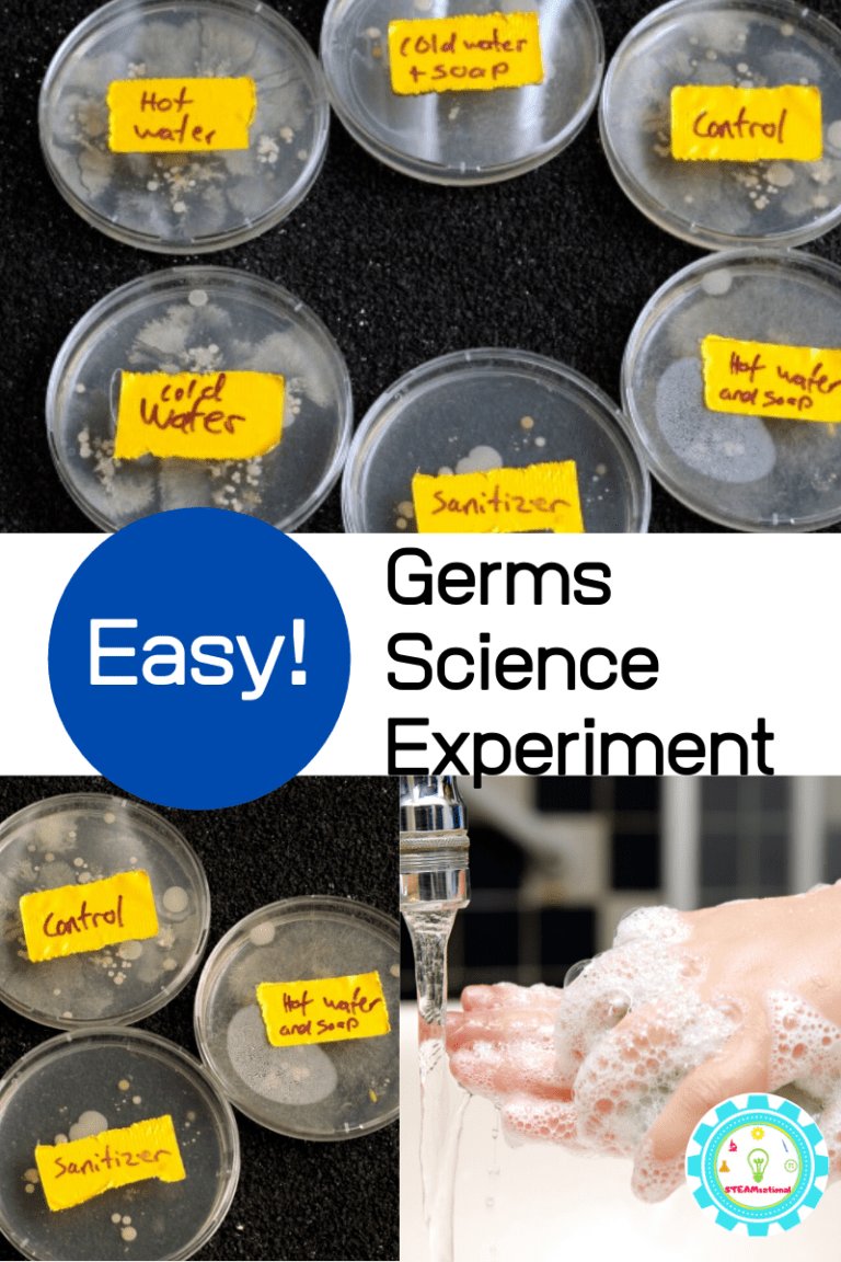 Hand Washing Science Experiment for Kids