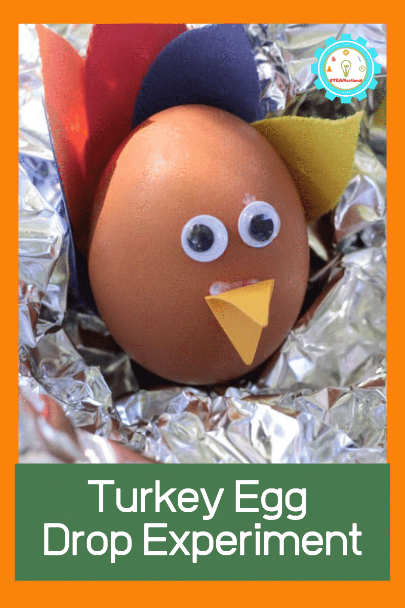 Turkey Egg Drop Project with Popsicle Sticks