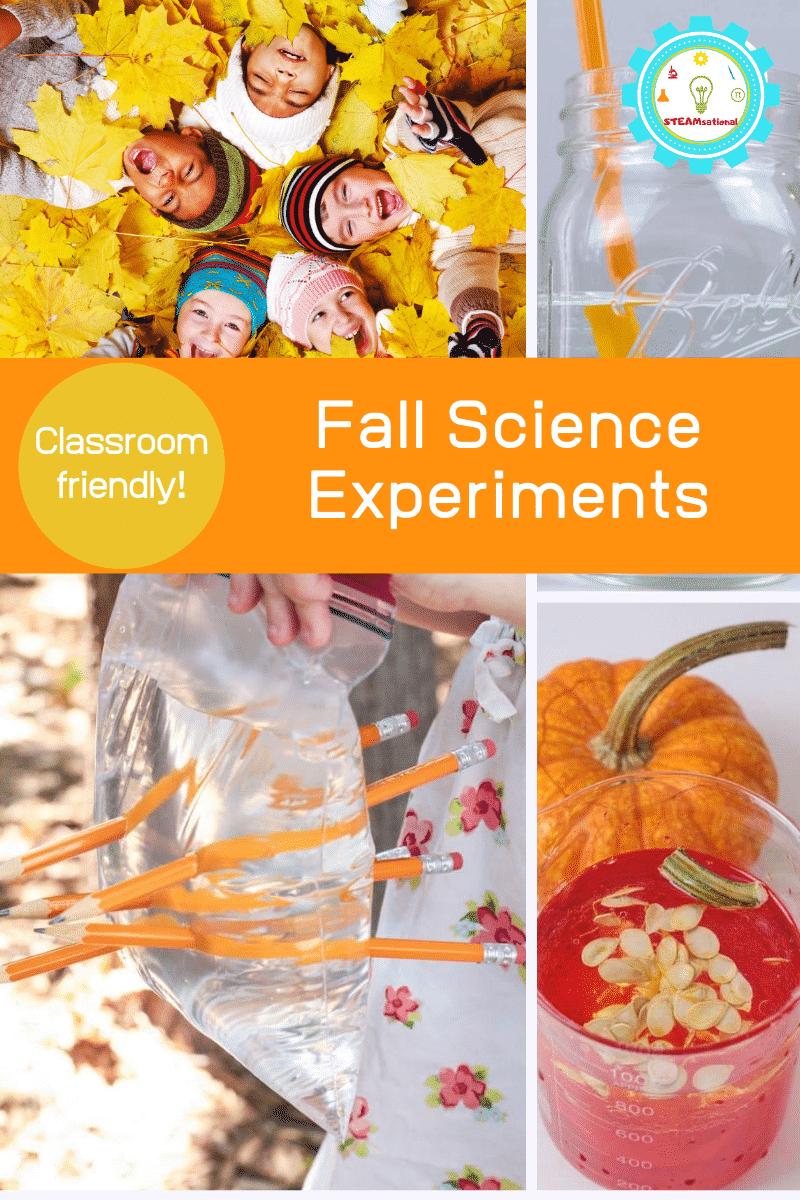 Easy Fall Science Experiments for Elementary Students