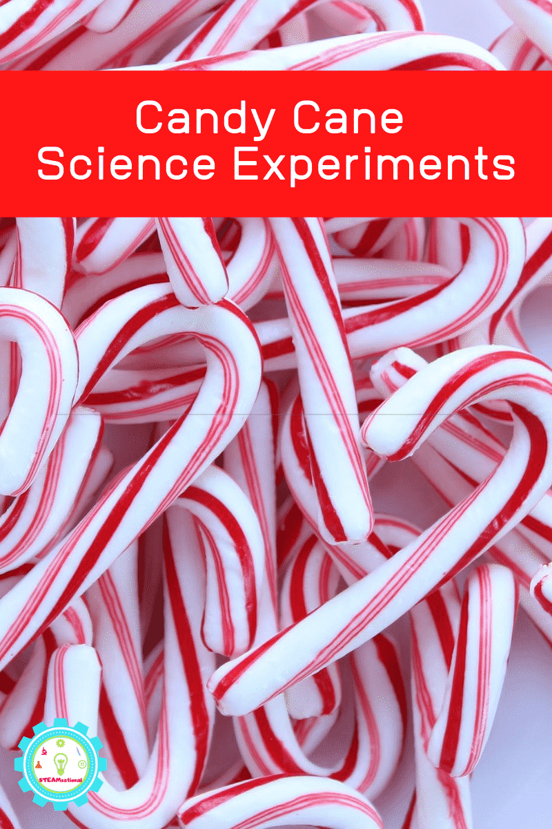 The Easiest Candy Cane Science Experiments for the Classroom