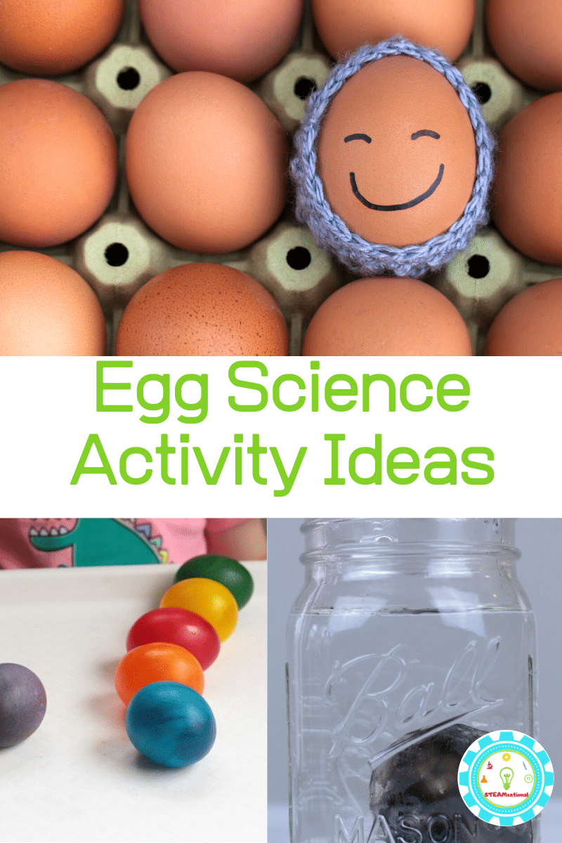 Egg Science Experiments using Real Eggs