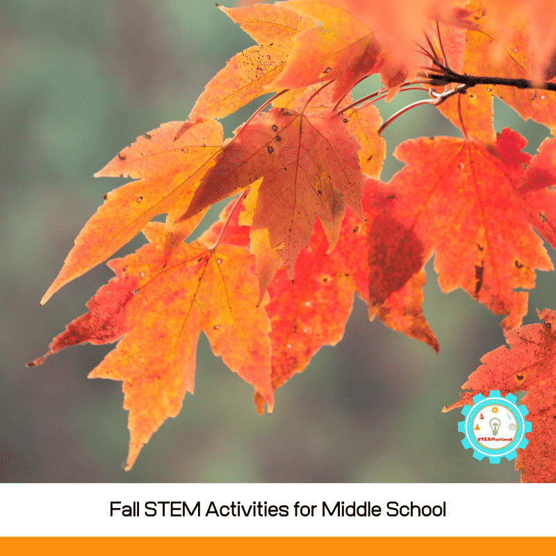 10 HandsOn Fall STEM Activities for Middle School