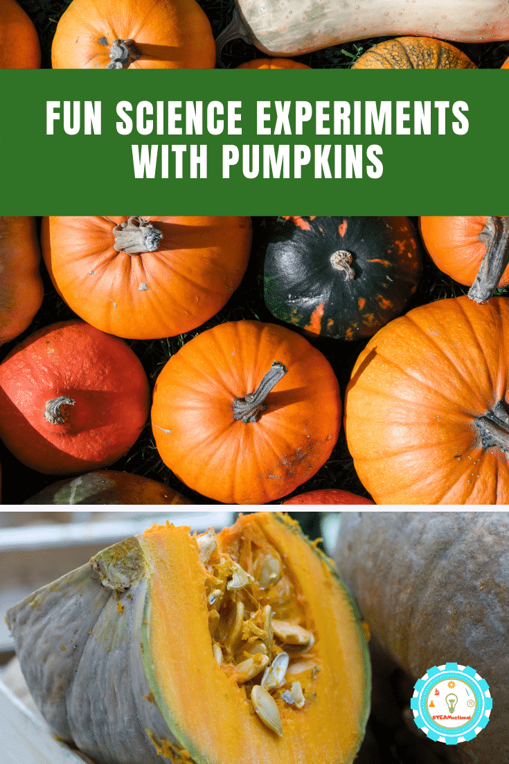 10 Pumpkin Science Experiments for Elementary Kids