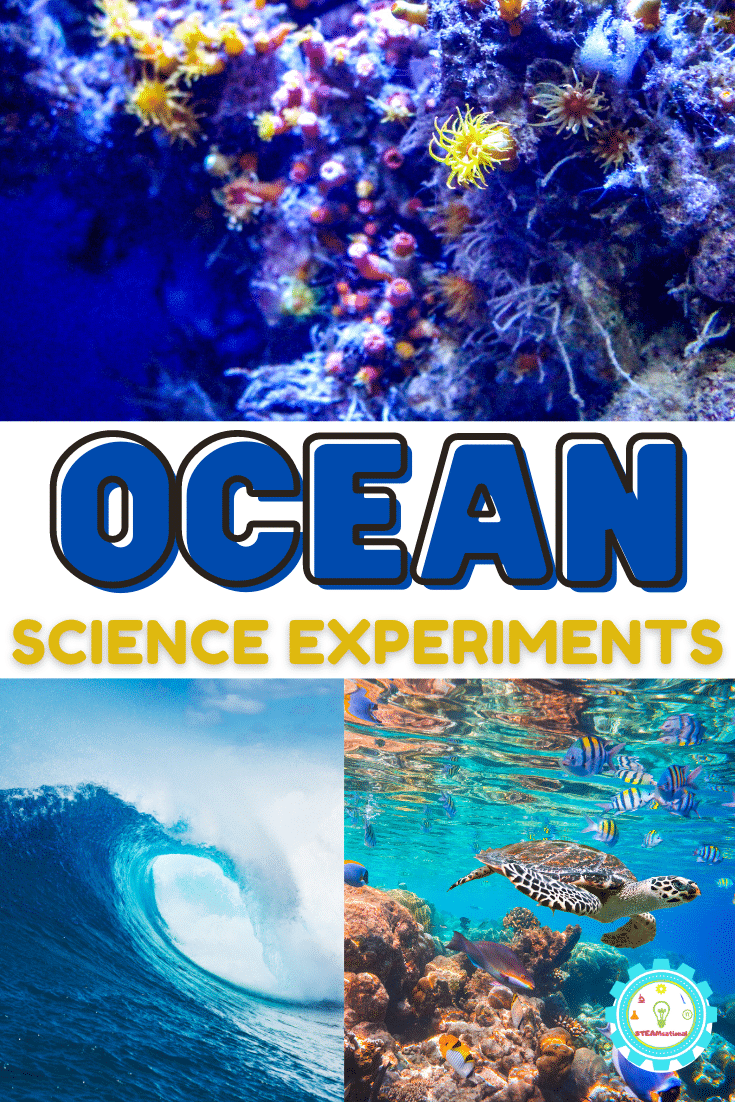 12+ Easy and Fun Ocean Science Experiments for Curious Kids