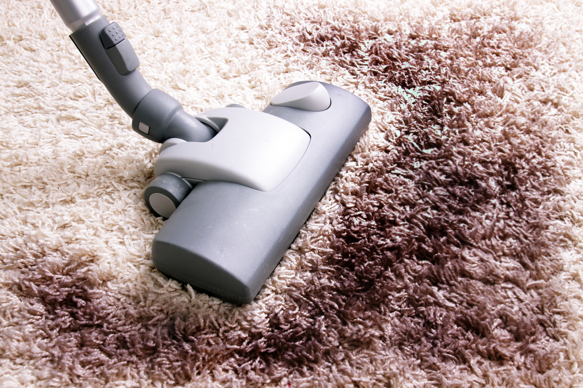 carpet cleaning services Steam Wave Carpet