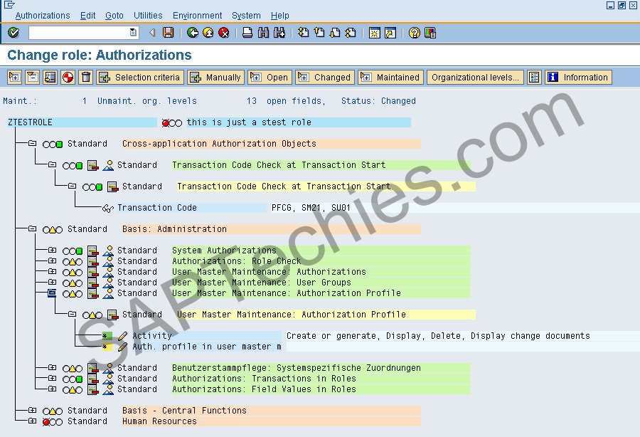 PFCG SAP Roles and Authorizations Maintenance