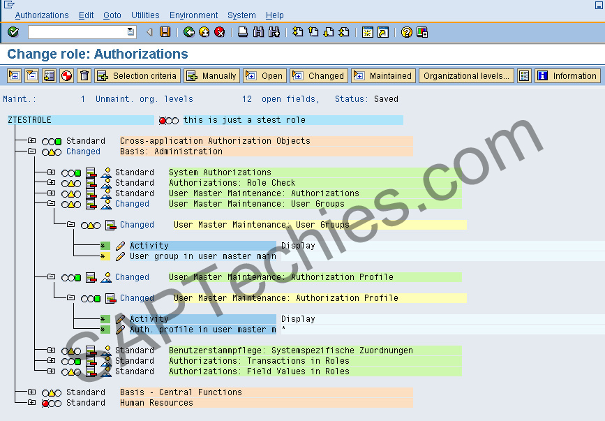 PFCG SAP Roles and Authorizations Maintenance