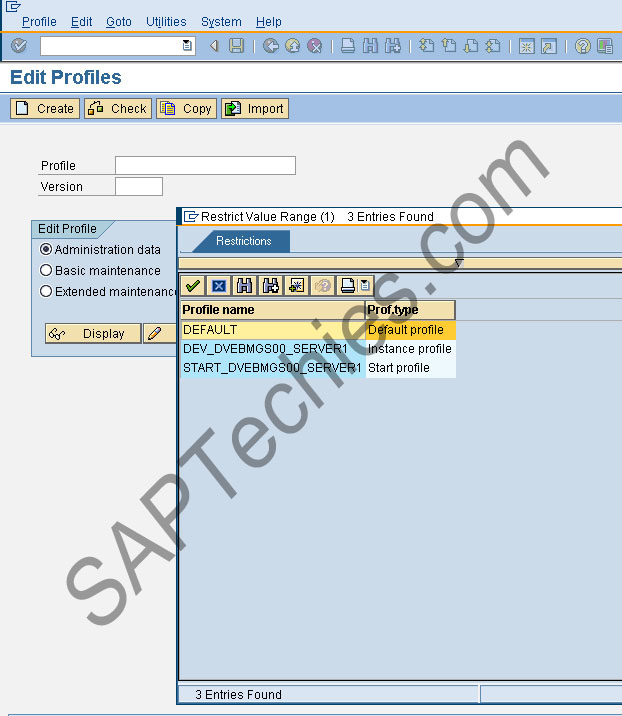 Edit SAP System Profiles RZ10 (Set Default login Client) in SAP BASIS