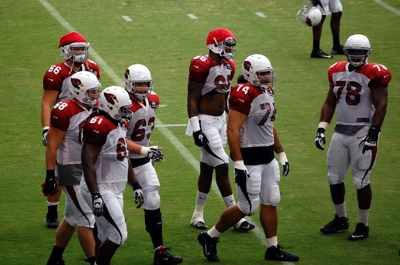 Arizona Cardinals Training Camp 2013