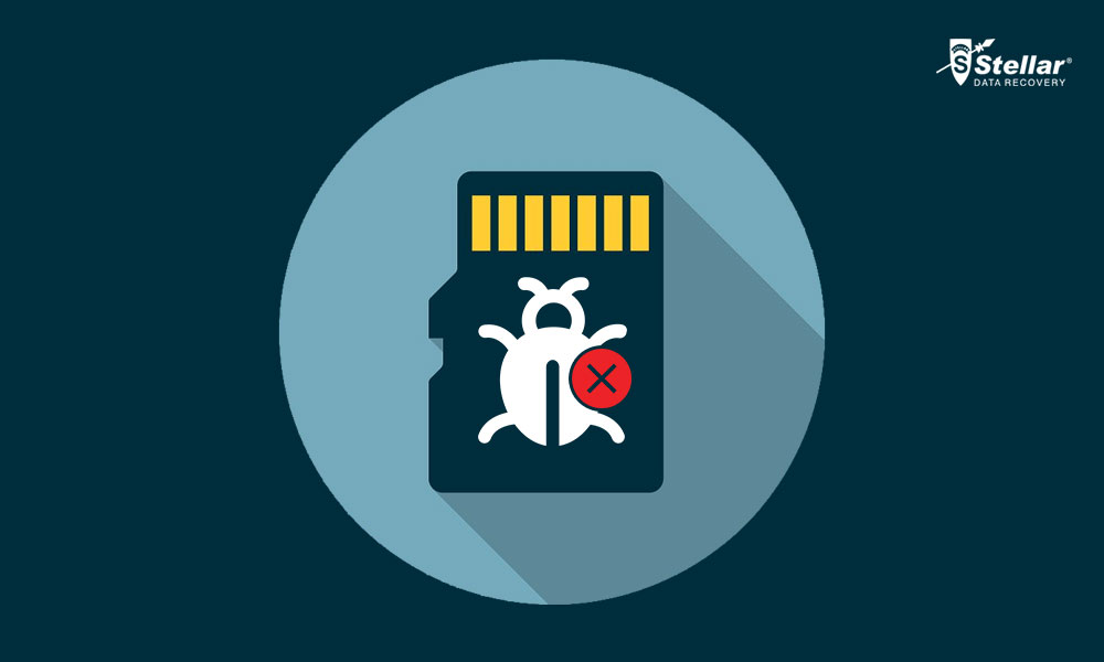 How to format virus infected memory card junglemasa