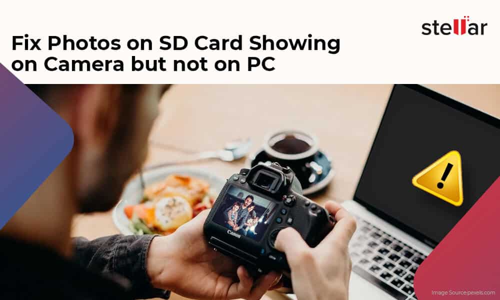 WHY IS MY SD CARD NOT WORKING IN MY TRAIL CAMERA? FIXES!