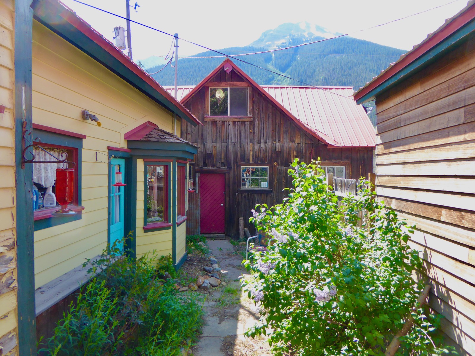Blair Street Village 1246 & 1250 Blair St Silverton, CO 81433