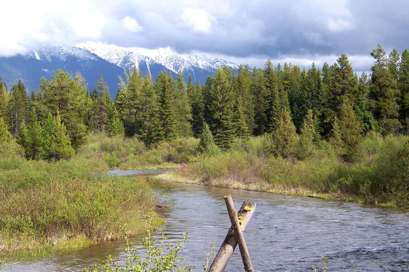 Happy Memorial Day from Montana