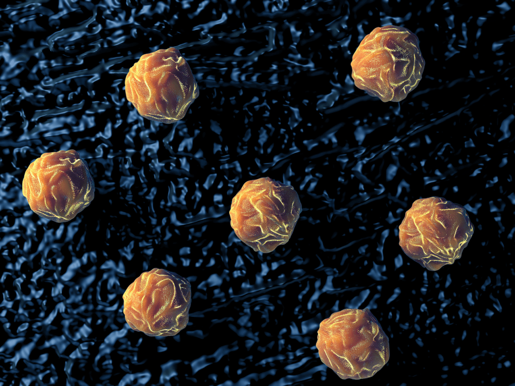 Stem Cell Training Course Scheduled in Korea