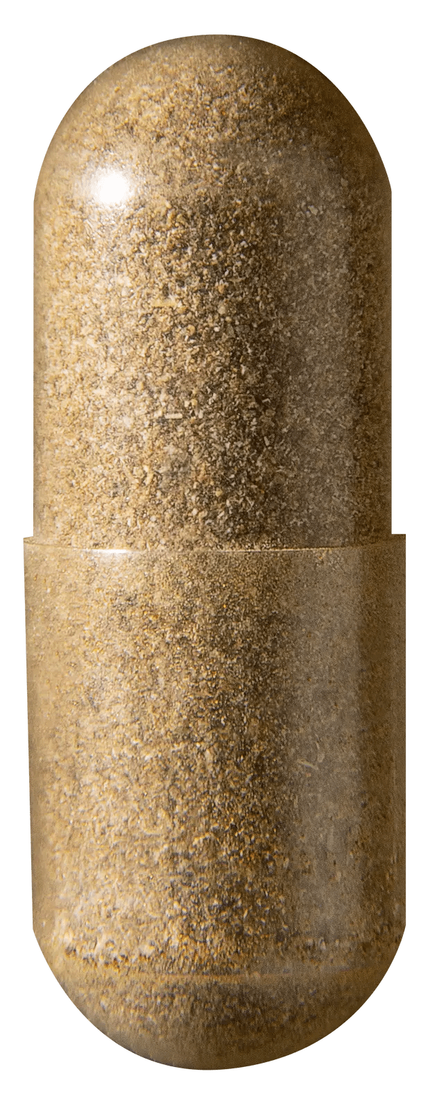 Marques Johnson’s Fitness Revival Stemregen