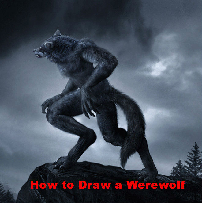 How to Draw a Werewolf Face
