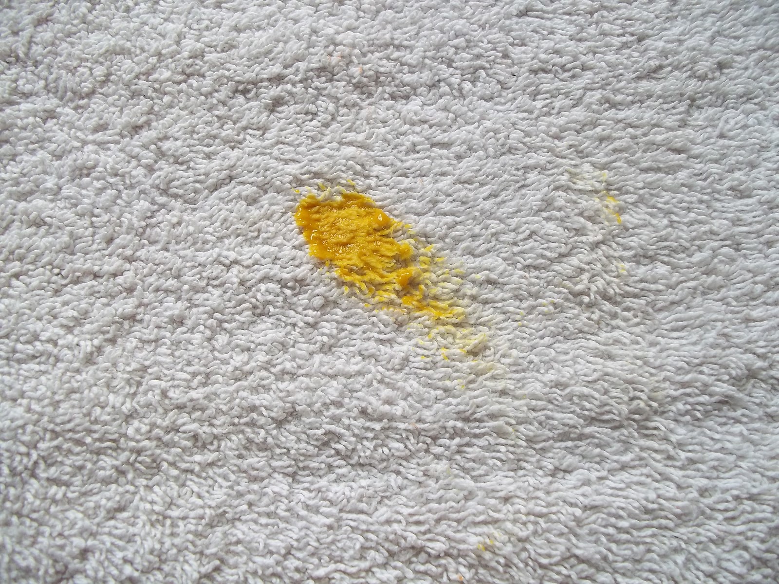 How to Remove a Mustard Stain from Carpet