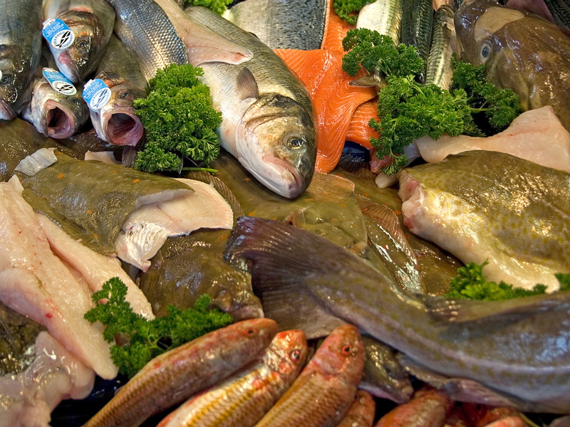 How to Mail Order Fish Supplies