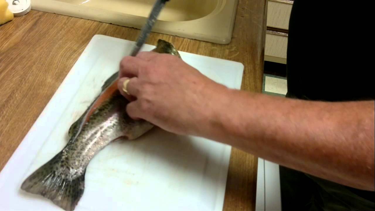 How to Fillet a Rainbow Trout