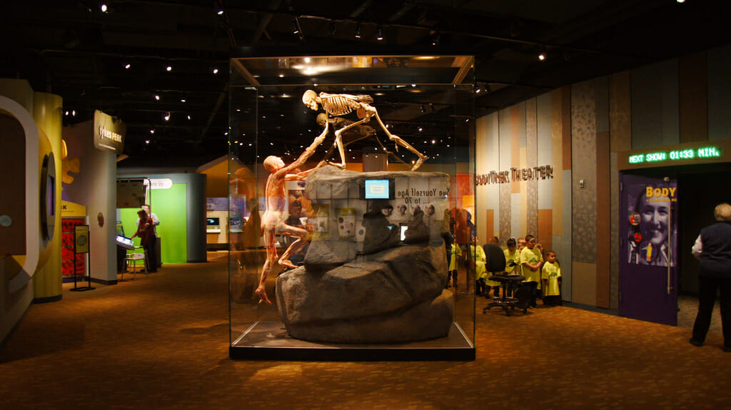 Denver Museum of Nature and Science The Stephen Low Company