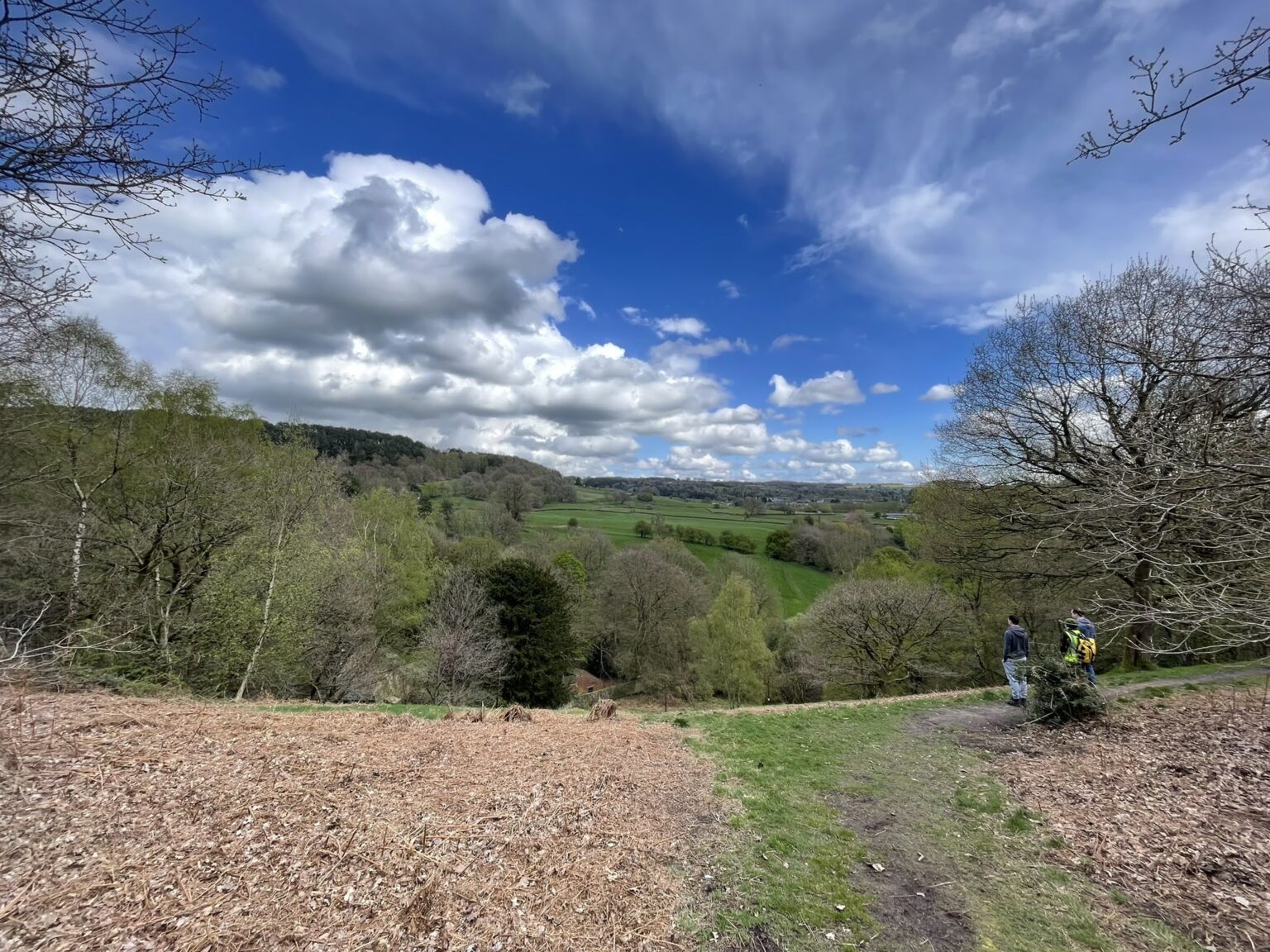 Volunteering with Hurst Farm Regeneration Project Stepnell