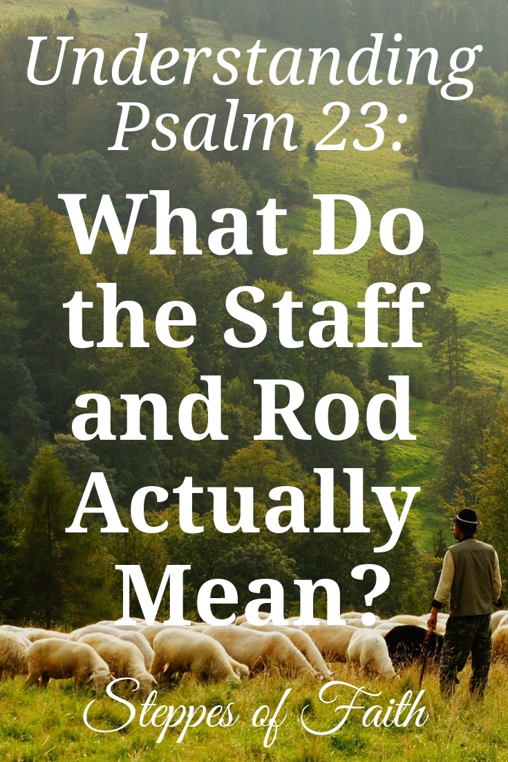 Understanding Psalm 23 What Do the Staff and Rod Actually Mean?