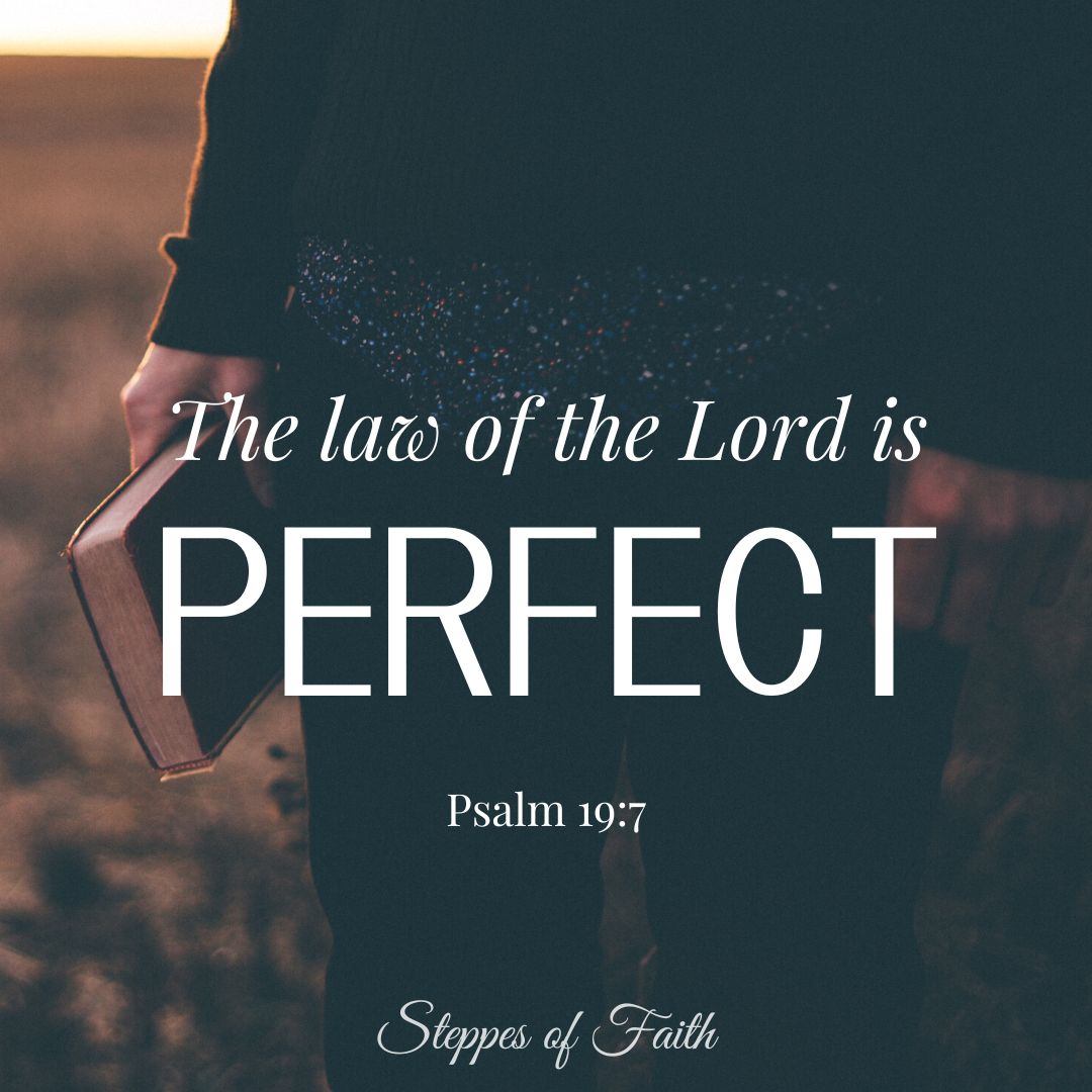 How We Know the Law of the Lord is Perfect
