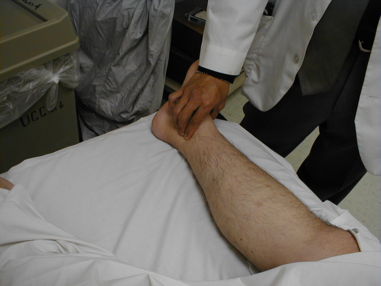 Posterior Tibial Artery Stepwards