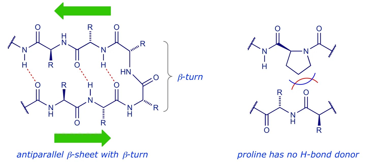 Protein chemistry