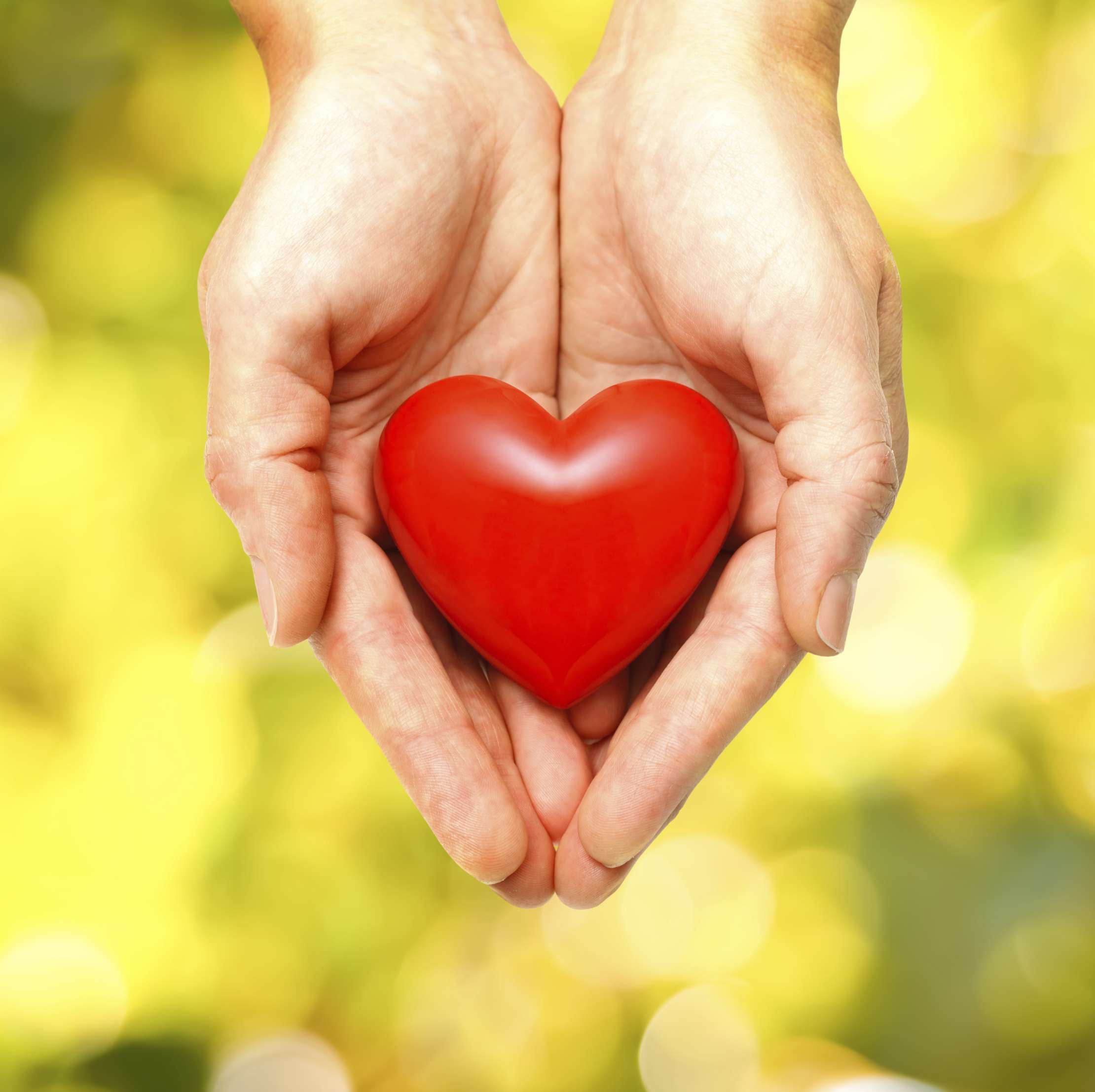 What Does Giving Mean To You Love The GiveSteve and Alex Cohen Foundation(04)