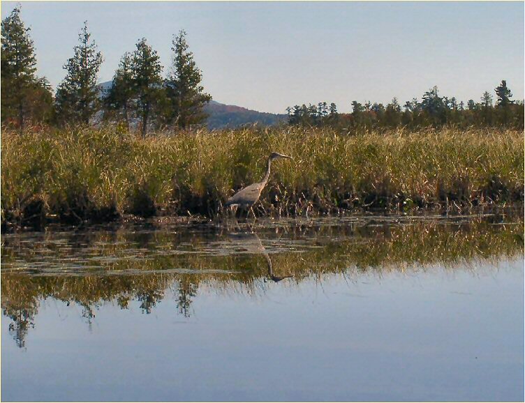 Raquette Lake to Blue Mountain Lake
