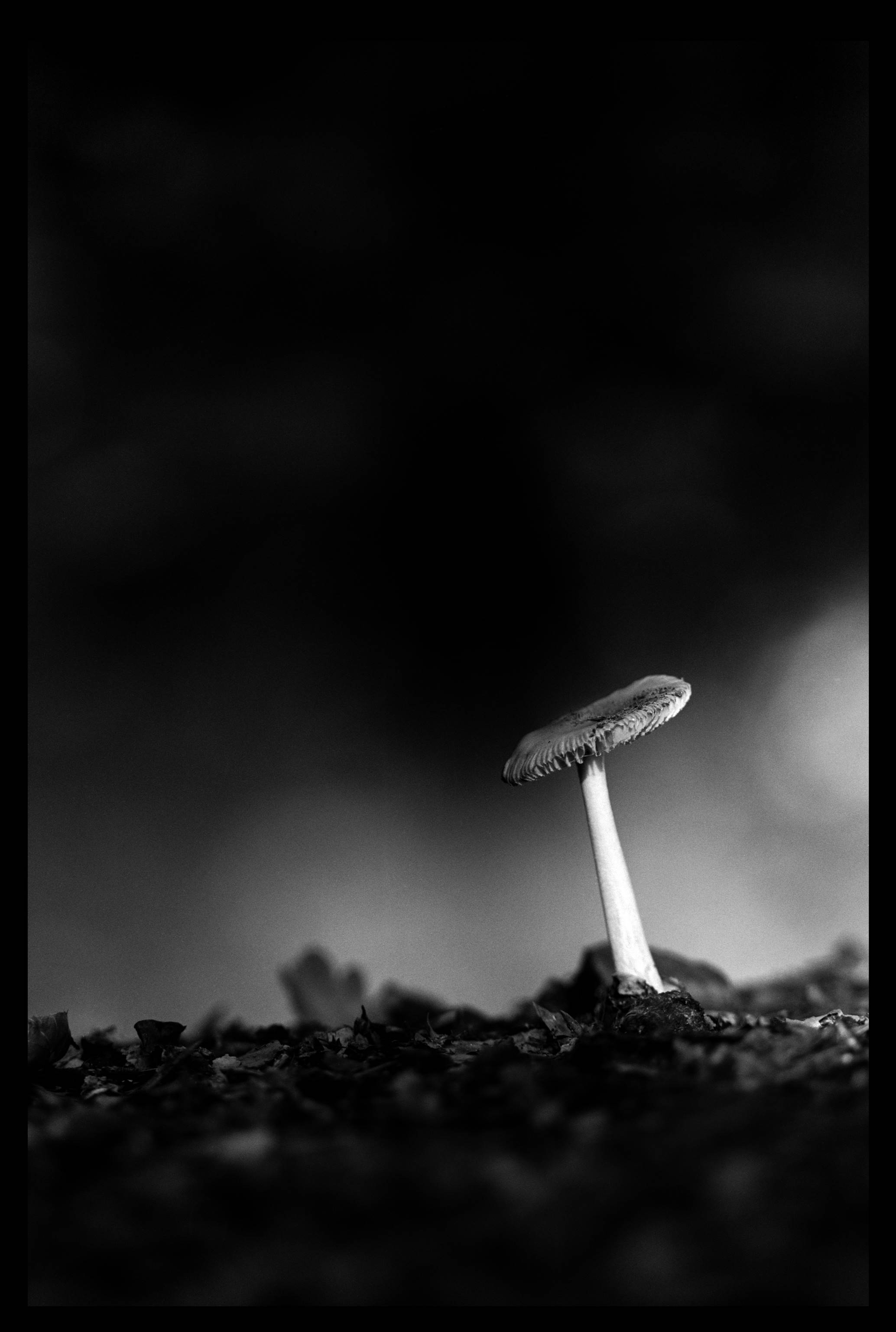 About negative space, looking 3D and some other things. By