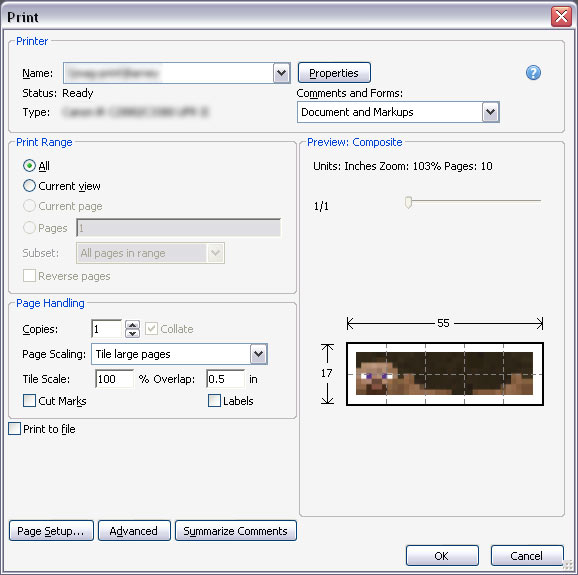 5 McC Kids [35+] Minecraft Steve Head Printable