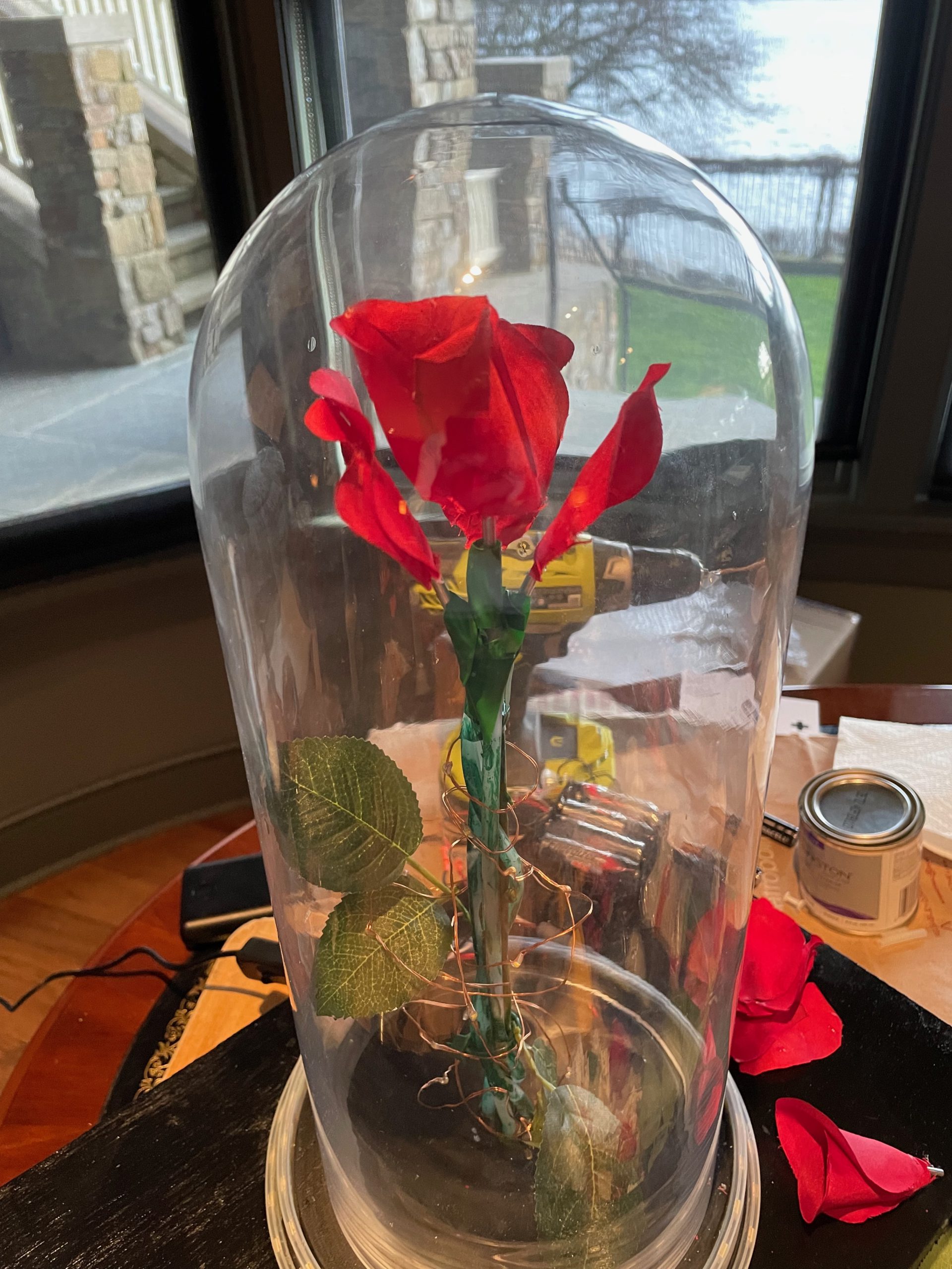 Enchanted Rose 2.0 with Falling Petals steve murch