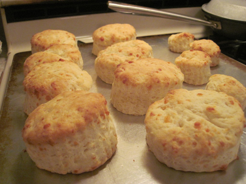 Biscuit Recipe in Urdu Easy without Buttermilk in urdu without oven