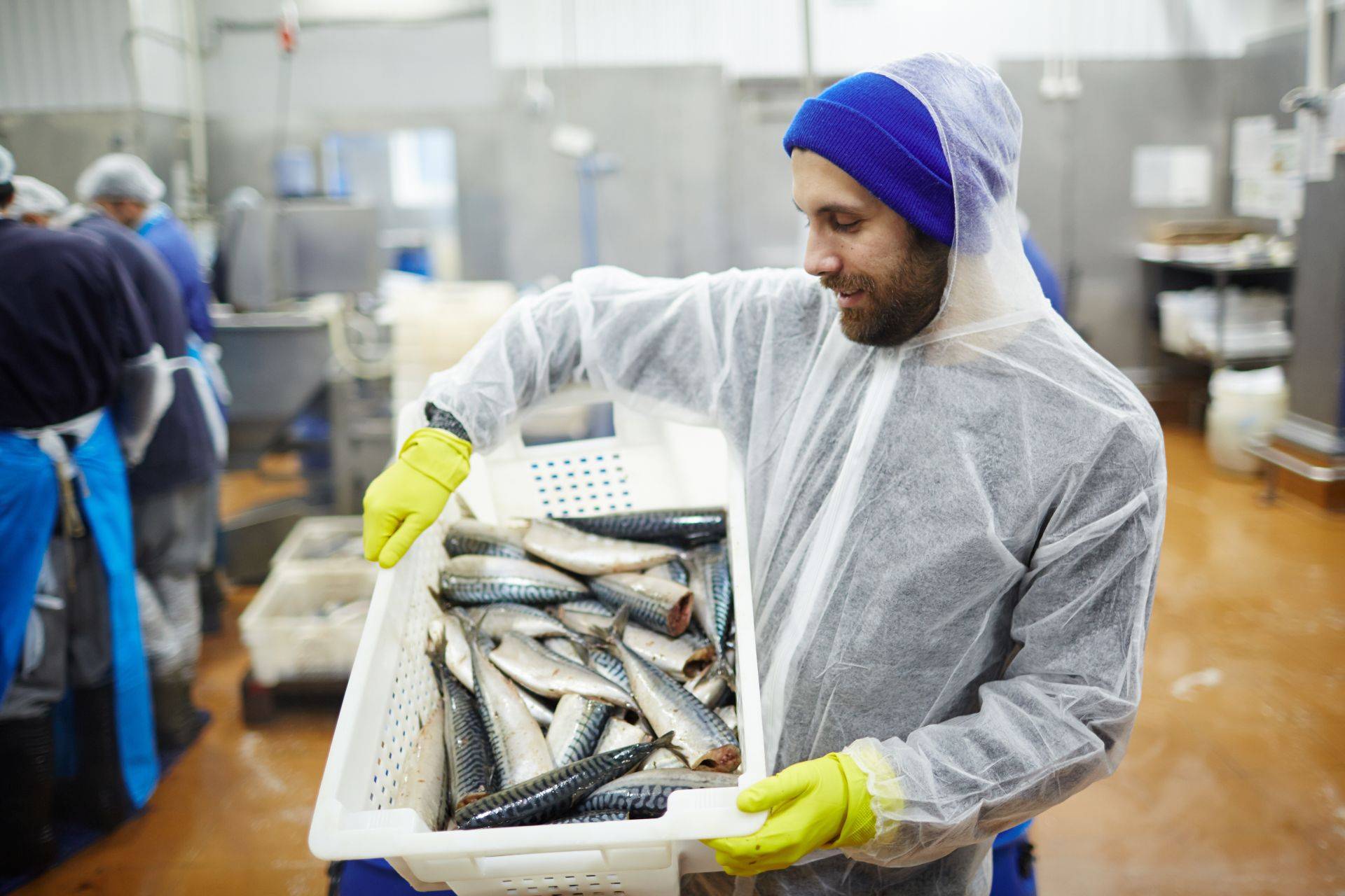 How Seafood Traceability Can Help Fish Processors Thrive Stevens