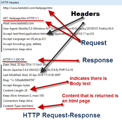 Introduction to HTTP Understanding HTTP Basics