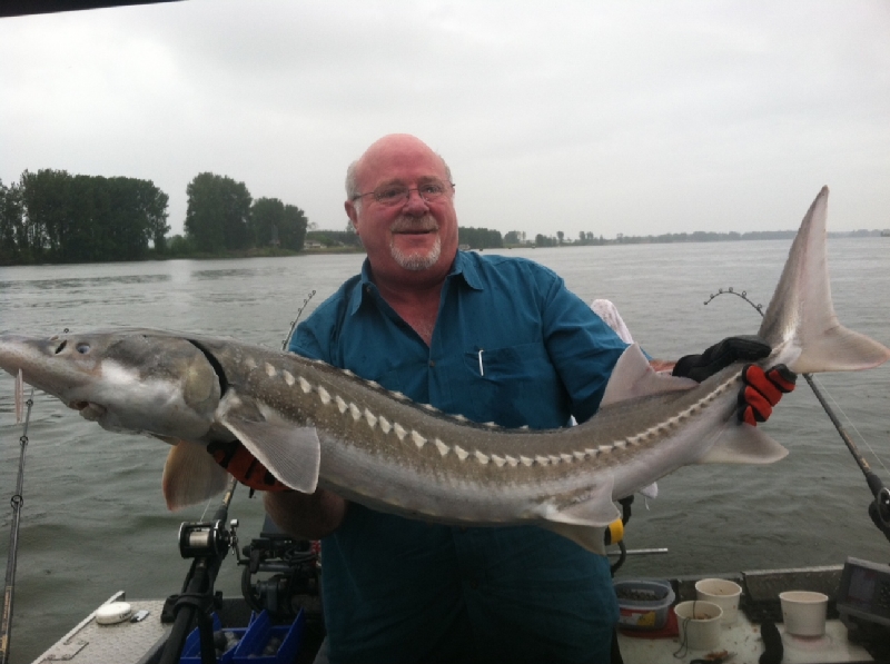 Oregon Sturgeon Fishing 22