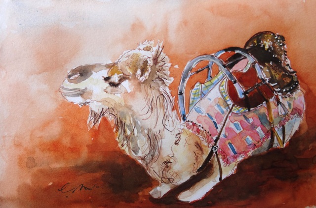 Zeta Series Gallery « Stillman & Birn Art Gallery