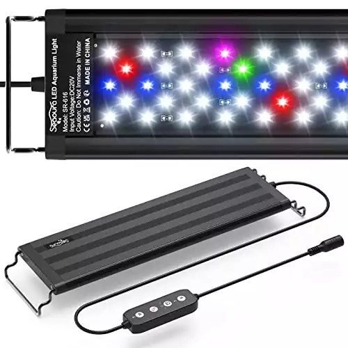 Best Budget Aquarium Light for Plants Top Picks for Thriving Aquatic